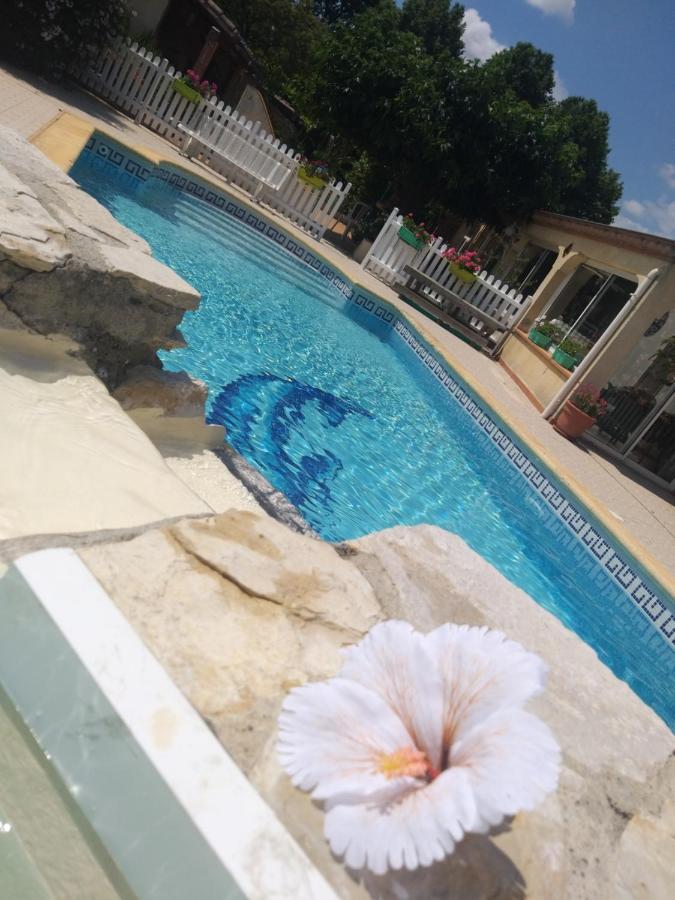 Appartamento Gite T2 Avec Grande Piscine Villeneuve-la-Comptal Esterno foto